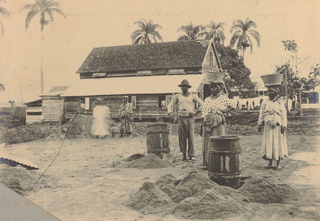 De plantage Peperpot in Suriname, 1891. (Rijksmuseum Amsterdam)